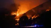 EU stellt Rekordkontingent von 777 Feuerwehrleuten für Waldbrandsaison bereit