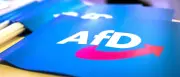 Experten-Gutachten sieht gute Chancen für AfD-Verbotsantrag