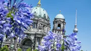 Gewitter in Berlin und Brandenburg: Wechselhaftes Wetter am Wochenende