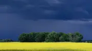 Gewitter und Schauer in Sachsen: Wochenende bringt Wetterwechsel