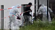 Grausiger Fund in Polen: 29 Babyleichen im Garten entdeckt