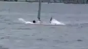 Haiangriff in Florida: Schwimmer kämpft um sein Leben