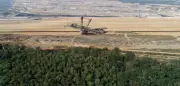 Hambacher Forst wird Naturschutzgebiet: Einigung mit RWE