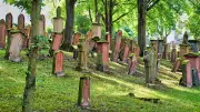 Historischer Fund in Mainz: Zeugniswert von erheblicher Bedeutung