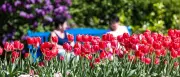 Hitze in Berlin und Brandenburg: Bis zu 35 Grad am Donnerstag erwartet