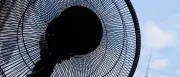 Hitzewelle: Berlin und Brandenburg steuern auf 40 Grad zu