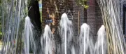 Hitzewelle in Brandenburg: Rekordtemperaturen und Notfälle am Wochenende