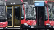 Hohe Dieselpreise: Busbetriebe im Norden fordern Entlastung