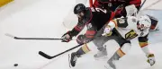 Hurricanes siegen 4:1 gegen Golden Knights – ein Sieg fehlt zum Stanley-Cup-Titel
