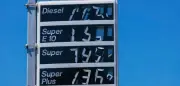 Ifo-Studie: Tankrabatt beim Diesel nur teilweise weitergegeben