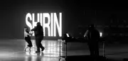 Kitschkrieg, Blumengarten und Shirin David: Deutscher Song wird weltweit viral