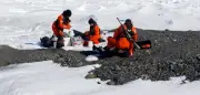 Klimawandel lässt Steinregen am Nordpol fallen