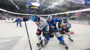 Krefeld Pinguine steigen in DEL auf: Dresdner Eislöwen bleiben zweitklassig