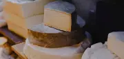 Käse-Diplomatie: Wie ein Franzose mit Milchprodukten Völker versöhnt