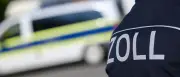 Kuriose Funde: Bärengalle, Walrossstoßzahn und Schlagringe beim Zoll