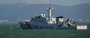 Kuriose Warnung: China meldet angebliche Spionage-Schildkröten vor Küste