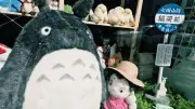 Maison Ghibli Pop-up-Store: Nur bis 11. Juli in Steglitz