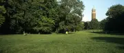 Mann stirbt beim Baden in Berliner Jungfernheide