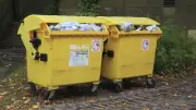 Mietrecht: Wie weit darf die Mülltonne entfernt stehen?