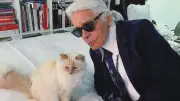 Millionen-Erbe: Karl Lagerfelds Katze Choupette enterbt