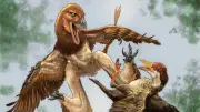 Neue Dinosaurier-Art Jian changmaensis in China entdeckt