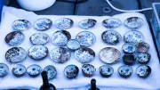 Porzellanwrack in 600 Metern Tiefe: Forscher staunen über einzigartigen Fund