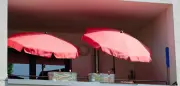 Quiz zum Extremwetter: Testen Sie Ihr Wissen über Hitze und Dürre
