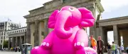 Rosa Elefant vor Brandenburger Tor: Verein macht auf Krebs-Tabu aufmerksam