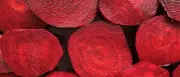 Rote-Bete-Saft und Kaugummi: Seltsamer Trick gegen Bluthochdruck?
