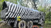 Russisches Zebra-Muster soll Kiews KI-Drohnen verwirren
