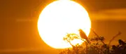 Schafskälte und Hitzewellen: Steht uns ein Sommer der Extreme bevor?