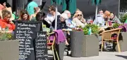 Schüsse auf Sylt: Festnahme und Fahndung nach Flüchtigem