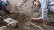 Skelettfund in Pompeji: Welche Aufgabe hatte dieses Tier?