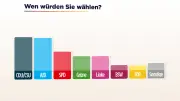 Sonntagsfrage: SPD verliert weiter – Union und AfD legen zu