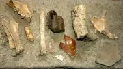 Spandauer findet verschollene Archäologie-Sammlung im Keller