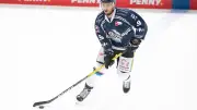 Straubing Tigers: Green und Daschner verlängern für 2026/27