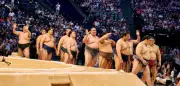 Sumo in Paris: Stärkste Männer der Welt und ihre kluge Kraft
