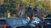 T-Rex-Auto rast durch Minneapolis: Dino im Berufsverkehr