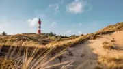 Traumhaus auf Amrum: So sieht das Friesenhaus mit Reetdach aus
