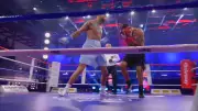 Ty Mitchell vs. Aro Schwartz: Spektakulärer Leberhaken-K.o. im Boxkampf