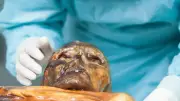 Ötzi-Hefe: Forscher backen Brot aus 5300 Jahre altem Darmpilz