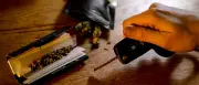 Unfälle mit Cannabis: Neue Statistik soll Klarheit bringen
