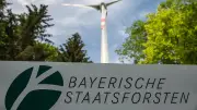 Vier neue Windparks in Bayerns Staatsforsten geplant
