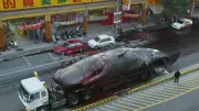 Wal-Explosion in Taiwan 2004: Blut und Gedärme auf der Straße
