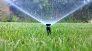Wasser sparen im Garten: Experte empfiehlt Tröpfchenbewässerung