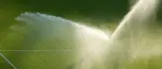 Wasserampel auf Rot: Brandenburg ruft zu Trinkwasser-Sparen auf