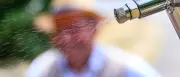 Wasserversorger in Brandenburg sehen keine akute Knappheit trotz Hitzewelle