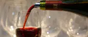 Weinladen in Babelsberg zeigt Kunst – immer nur ein Bild