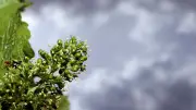 Wetter in Bayern: Kurzes Zwischenhoch weicht Gewitterfront