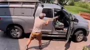 Wilder Bär im Auto: Handwerker erlebt Schreckmoment in Colorado
